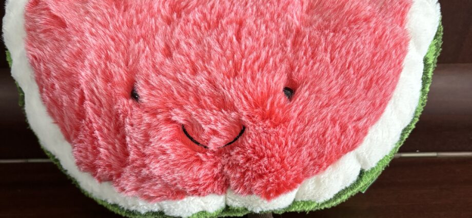 a picture of the Jellycat Amusable Watermelon